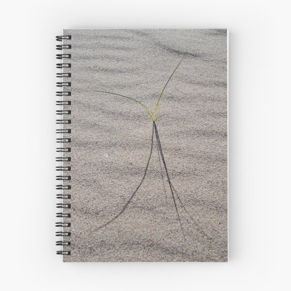 Item preview, Sand, Shoot, Shadow, Werrong Beach, Australia 2011 designed and sold by muz2142.