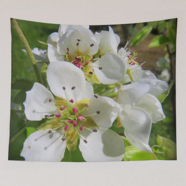 Item preview, Peach blossom designed and sold by AHELENE.