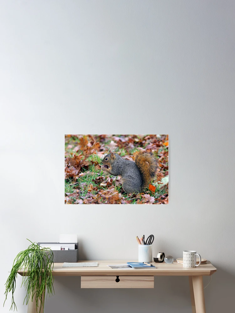 Thumbnail 2 of 3, Poster, Morning Snack designed and sold by Randall Ingalls.