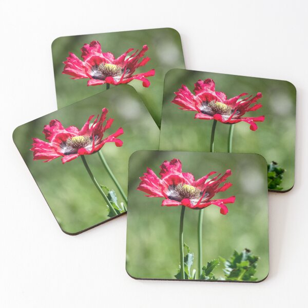 Item preview, Red Poppy Wildflower designed and sold by Debra Martz.
