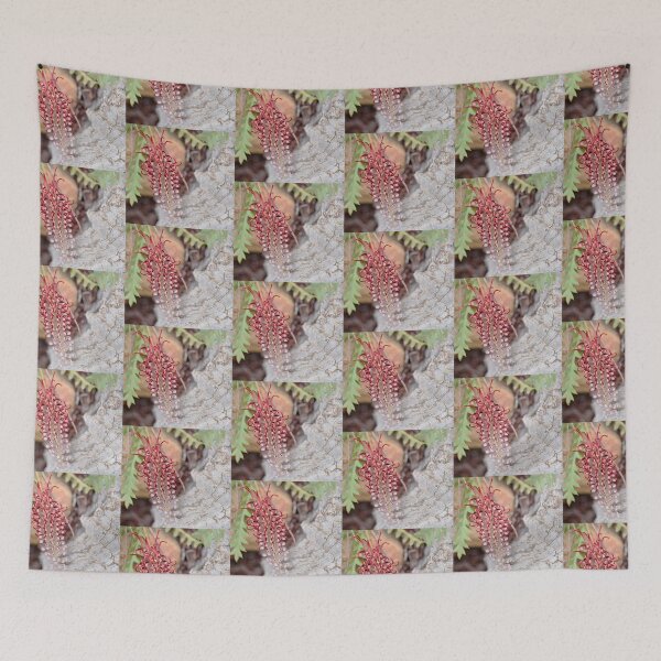 Item preview, Grevillea ‘Boongala Spinebill’ designed and sold by imaginethis.