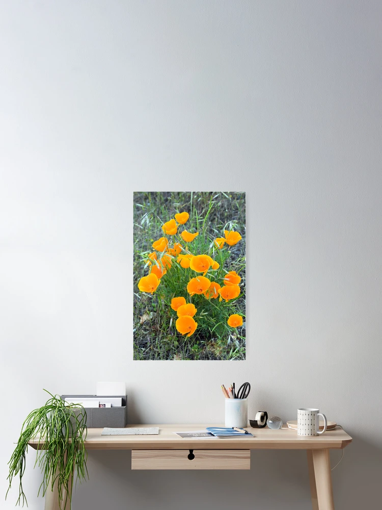 Thumbnail 2 of 3, Poster, Poppies II designed and sold by Randall Ingalls.