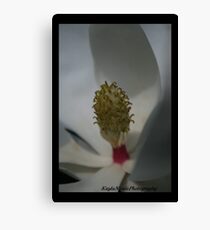 Maggie In The Wind Canvas Print