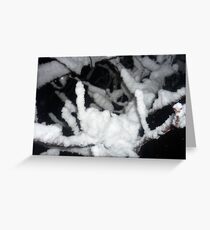 snow on branch - close up Greeting Card