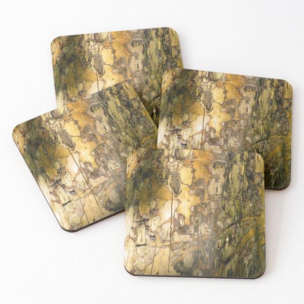 Item preview, MOTTLED TREE TRUNK BARK PATTERNS IN DAPPLED LIGHT designed and sold by Richard Brookes Photography.