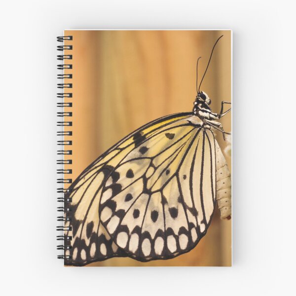 Item preview, Danaus Plexippus Yellow Butterfly designed and sold by Joker-laugh.