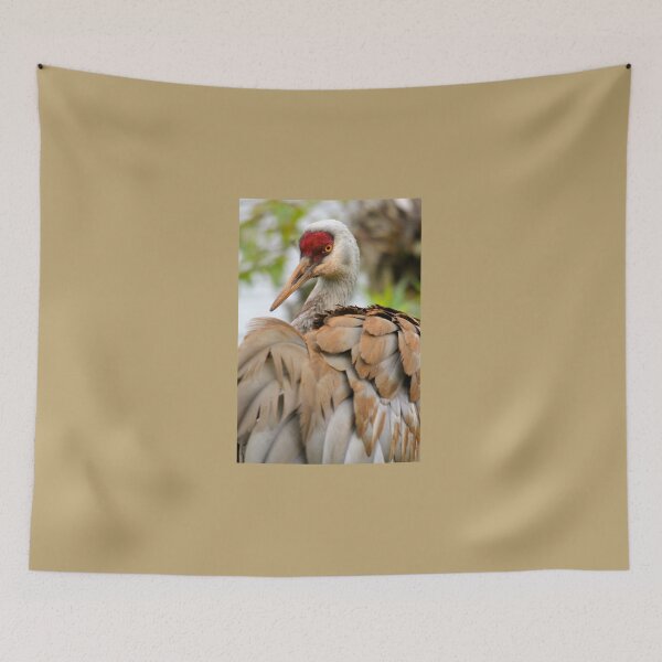 Item preview, Sandhill Crane designed and sold by RichImage.