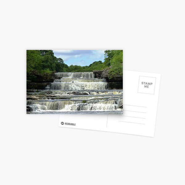 Aysgarth Falls #2 Postcard