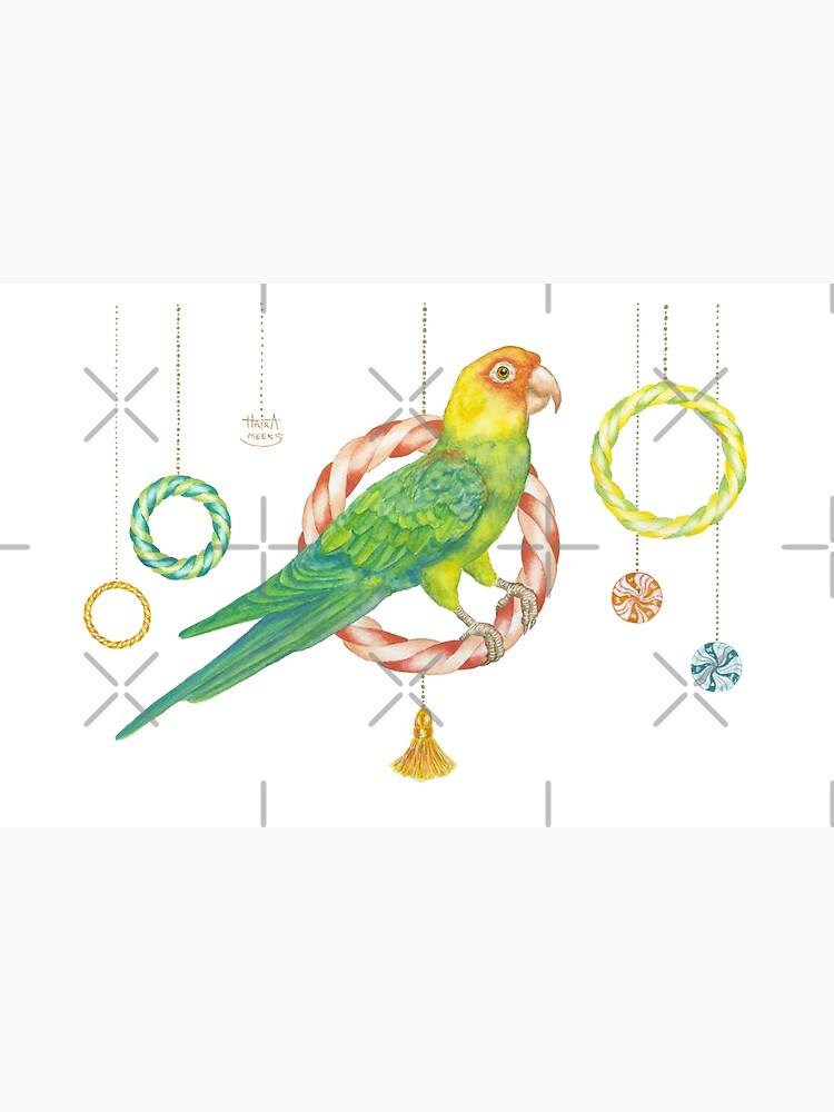 Candy Carolina Parakeet by HajraMeeks