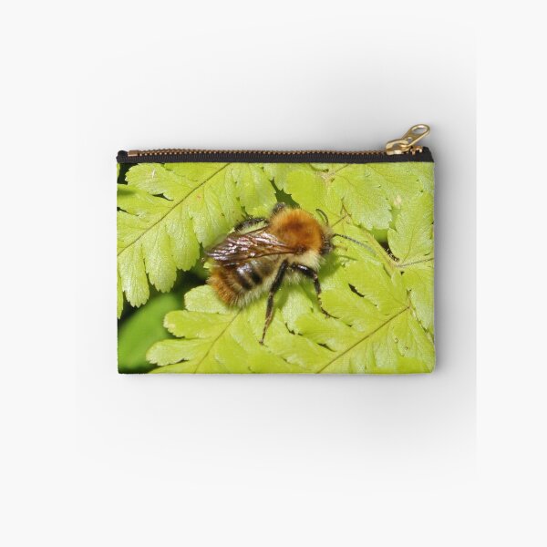 Item preview, Fern & Bee designed and sold by AnnDixon.