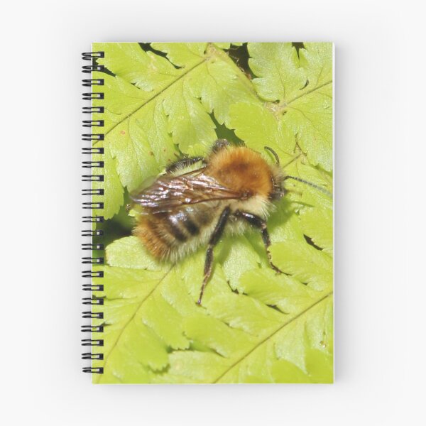 Item preview, Fern & Bee designed and sold by AnnDixon.