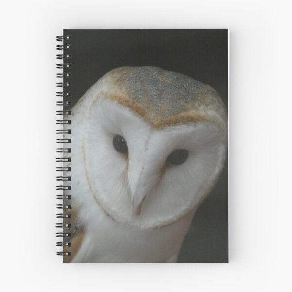 Item preview, Barn Owl designed and sold by amdavies.