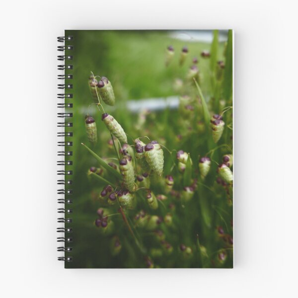 Item preview, Quaking Grass (Briza media) designed and sold by IOMWildFlowers.