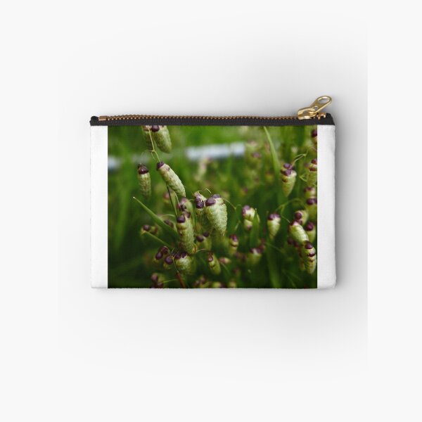 Item preview, Quaking Grass (Briza media) designed and sold by IOMWildFlowers.