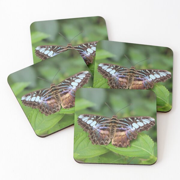 Item preview, Wings designed and sold by Susie Kramer.