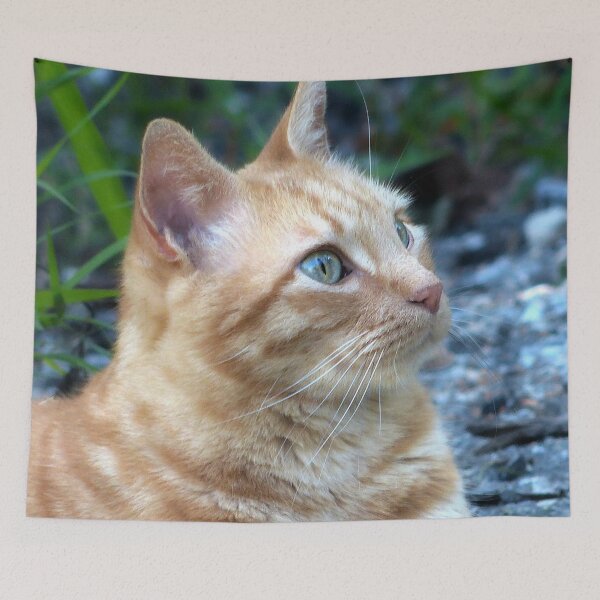 Item preview, Pughead Tommy designed and sold by Frankie Cat Photography.
