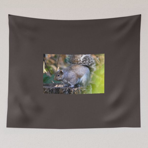 Item preview, Chubby Squirrel... designed and sold by RichImage.