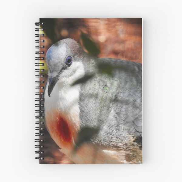 Item preview, Luzon Bleeding-Heart Dove designed and sold by Martina Nicolls.