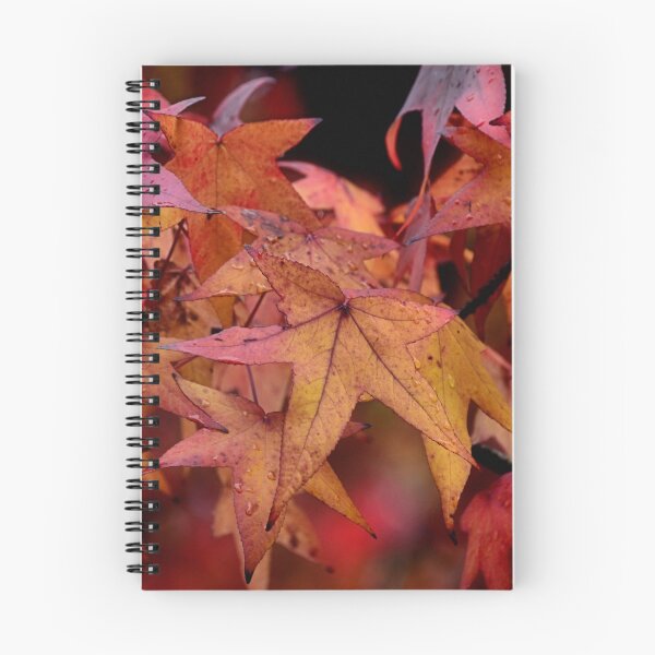 Aperçu de l'œuvre FEUILLES D'AUTOMNE - MT WILSON NSW créée et vendue par Bev Woodman.