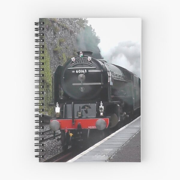 Item preview, LNER 60163 'Tornado' at Teignmouth designed and sold by Rorymacve.