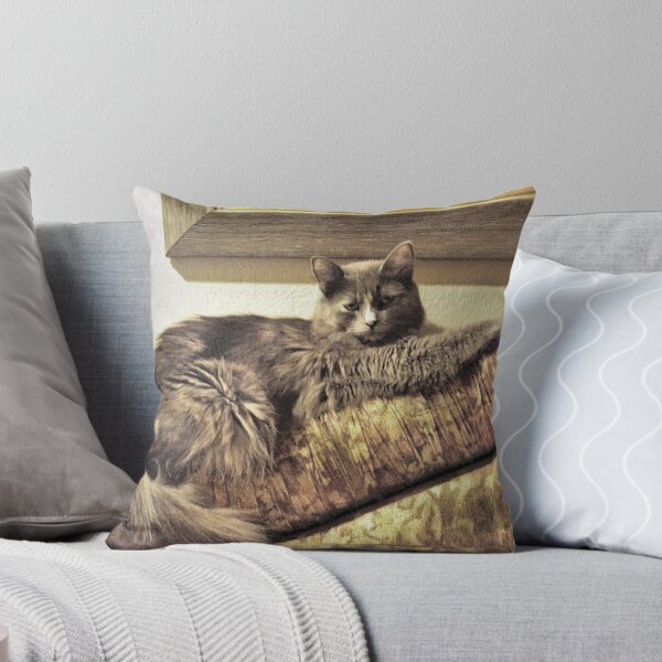 Item preview, Kitty designed and sold by SuddenJim.