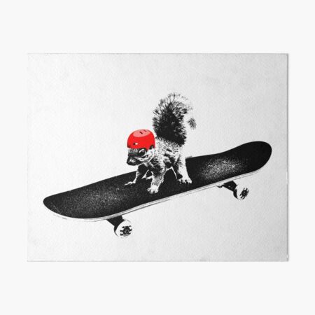 Skateboard Eichhörnchen Galeriedruck