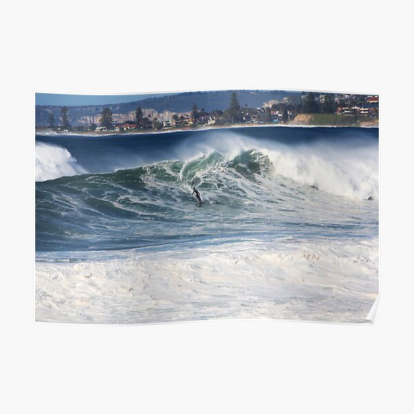 Surfer off North Narrabeen Beach Poster