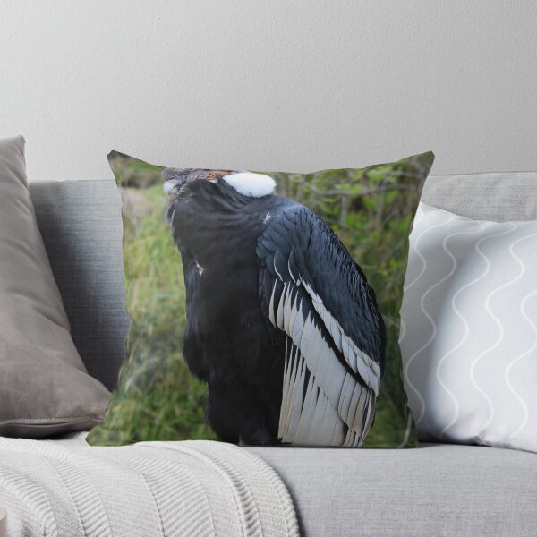 Item preview, Male Andean Condor on a Rock designed and sold by rhamm.