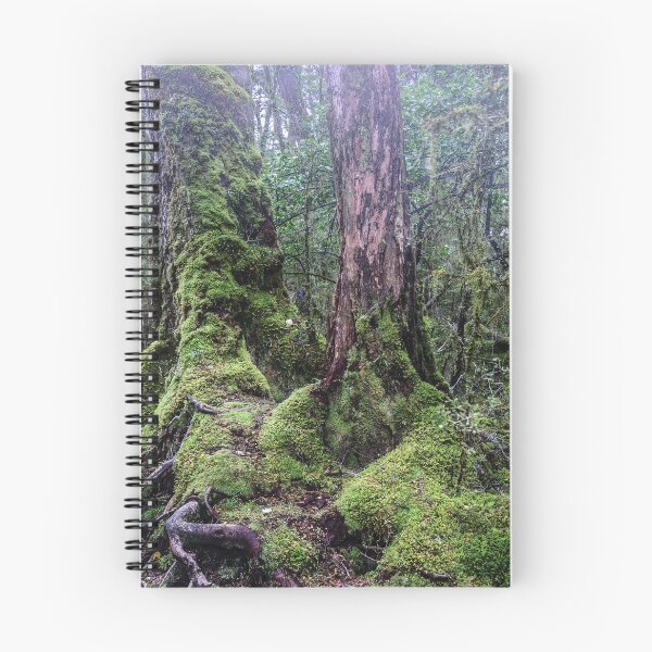 Item preview, Enchanted Forest 3 designed and sold by Werner Padarin.