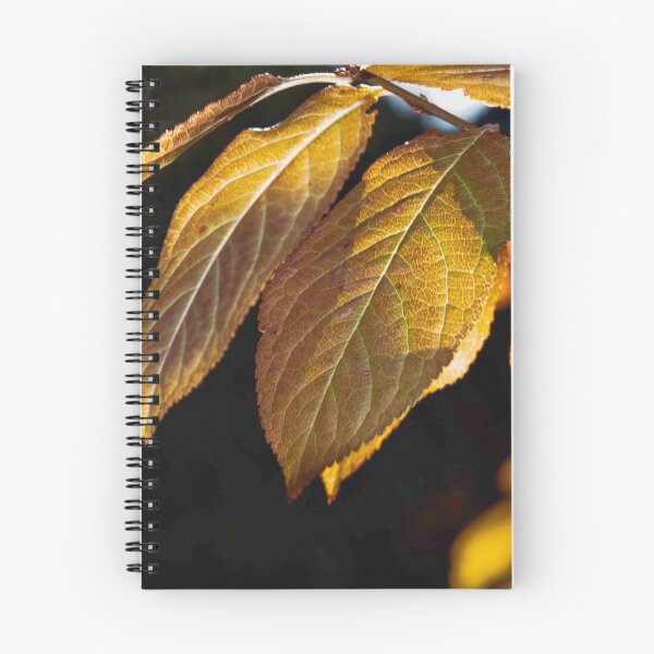 Item preview, Autumn Leaves out walking Liscombe house St Helena Aust Flash comparison 20160522 0427 designed and sold by Fred Mitchell.