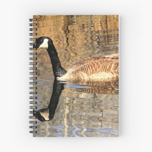 Item preview, Reflected!!! designed and sold by Larry Trupp.