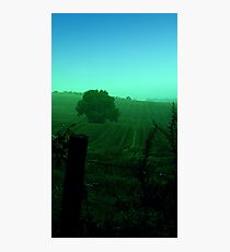 A dull day Photographic Print