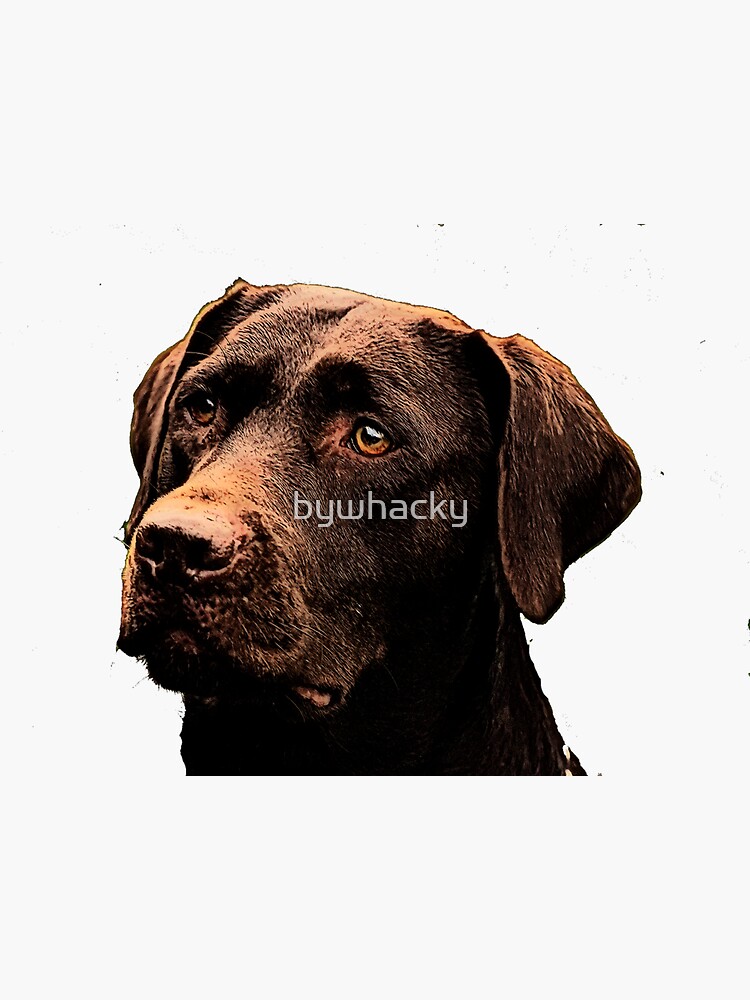 Thumbnail 3 of 3, Sticker, Chocolate Lab designed and sold by bywhacky.