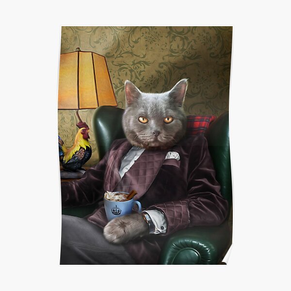 Persian Cat portrait - Finlay Poster