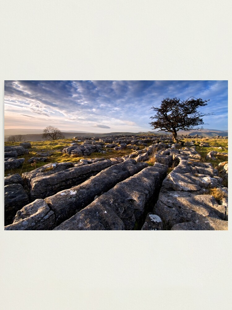 Alternate view of Limestone Country, Ribblesdale - The Yorkshire Dales Photographic Print