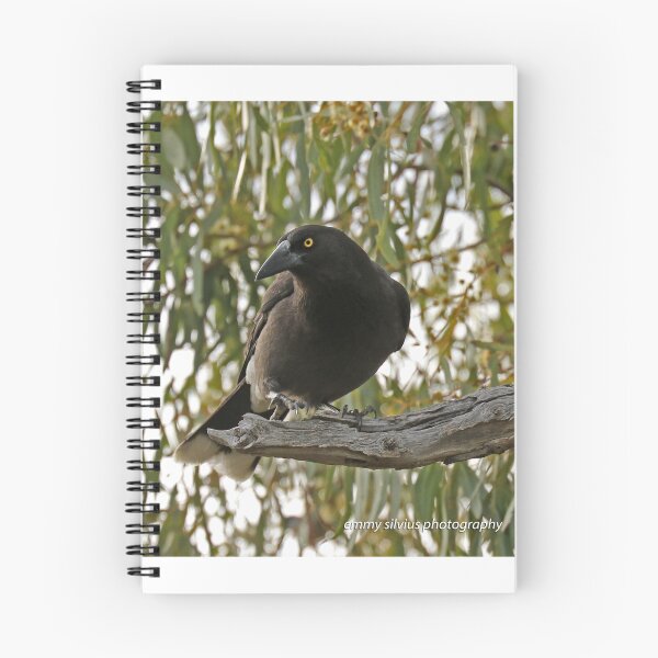 Item preview, Grey Currawong (1028) designed and sold by Emmy Silvius.