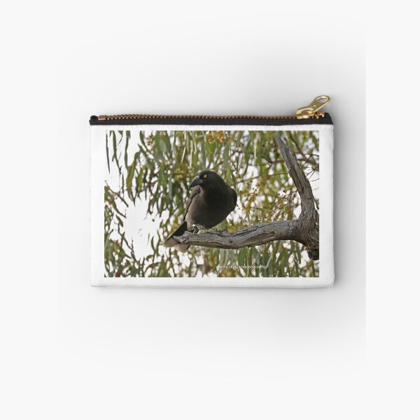 Item preview, Grey Currawong (1028) designed and sold by Emmy Silvius.