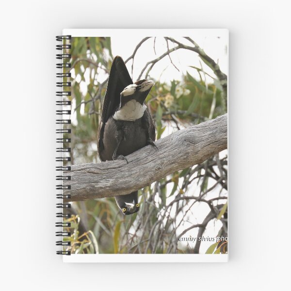 Item preview, Grey Currawong (1019) designed and sold by Emmy Silvius.