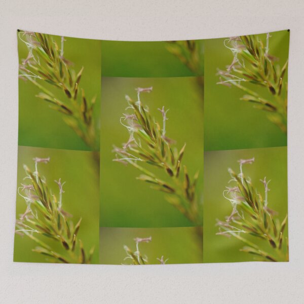Item preview, Flowering Grass designed and sold by duncandragon.