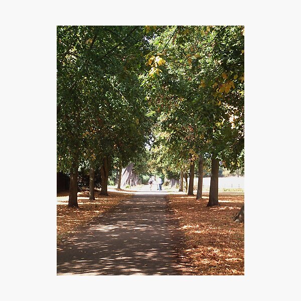 Item preview, Tree lined avenue designed and sold by rualexa.