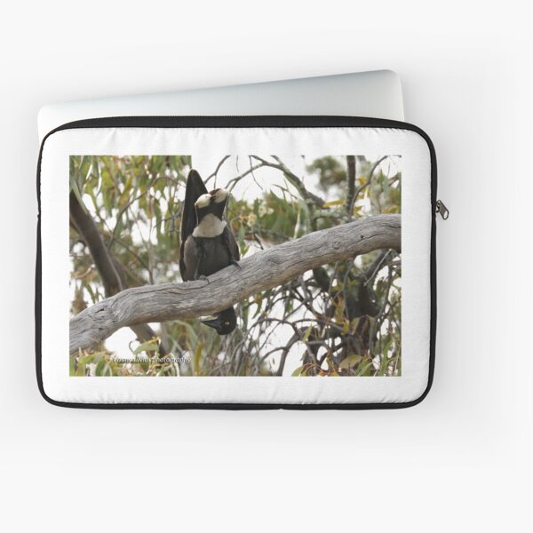 Grey Currawong (1017) Laptop Sleeve