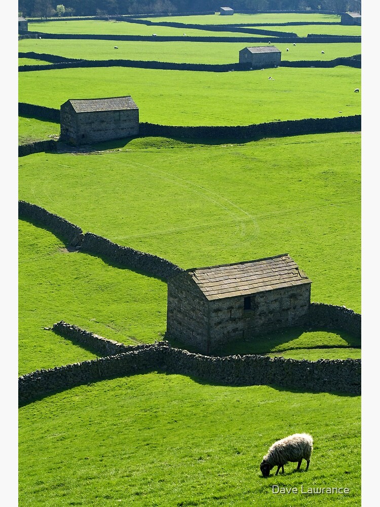 Gunnerside, Yorkshire Dales by DLLP