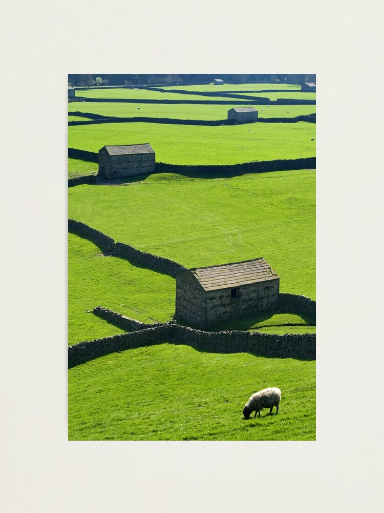 Alternate view of Gunnerside, Yorkshire Dales Photographic Print