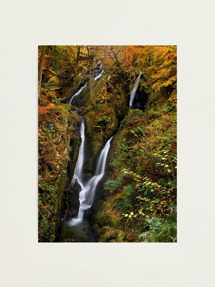 Alternate view of Stock Ghyll Force - The Lake District Photographic Print
