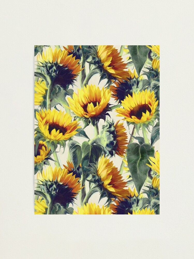 Alternate view of Sunflowers Forever Photographic Print