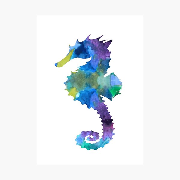 Seahorse Photographic Print