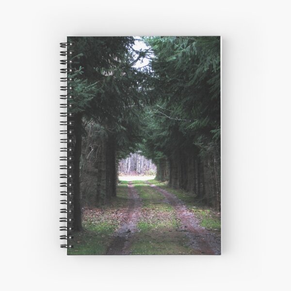 Aperçu de l'œuvre Tree Tunnel créée et vendue par Marie Breton.