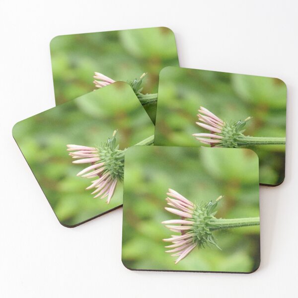 Item preview, Coneflower designed and sold by Tonia Delozier's Photography .