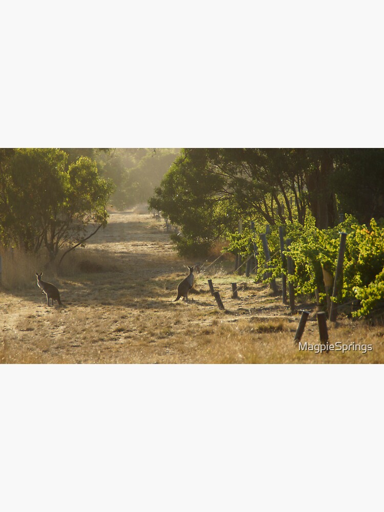 Thumbnail 3 of 3, Sticker, Roo in the Merlot - Magpie Springs - Adelaide Hills - Fleurieu Peninsula - by South Australian artist Avril Thomas designed and sold by MagpieSprings.