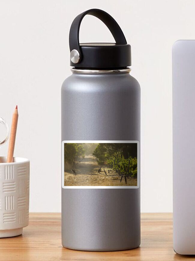 Thumbnail 1 of 3, Sticker, Roo in the Merlot - Magpie Springs - Adelaide Hills - Fleurieu Peninsula - by South Australian artist Avril Thomas designed and sold by MagpieSprings.